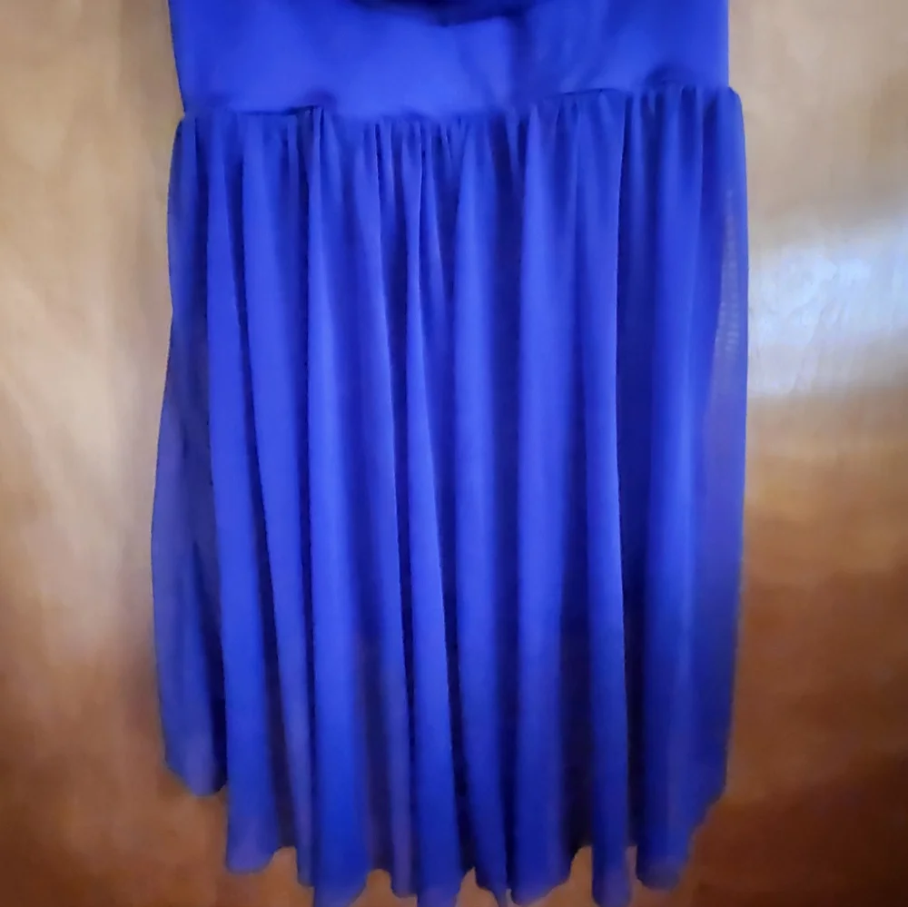Weissman Deep Royal Blue Dance Costume